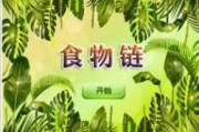 黄金藤蔓爆料怎么做视频,揭秘视频制作全攻略