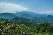 青城山养老爆料案件最新,揭开养老行业黑幕，揭露养老机构潜规则”