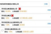 深圳新闻媒体爆料,重大事件引发社会关注